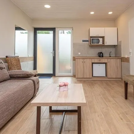 Апартаменты Dvi Sesutes *