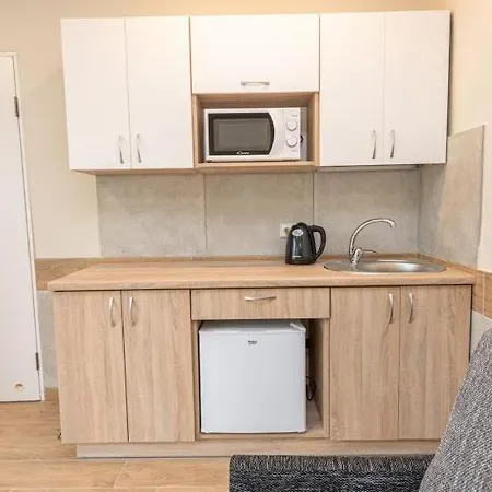 Apartment Dvi Sesutes Palanga