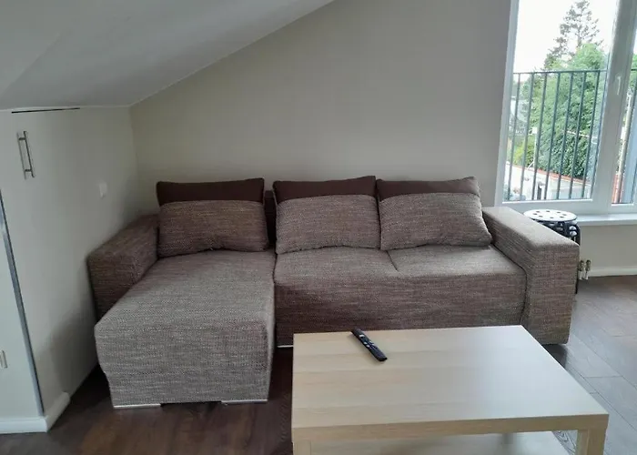 Dvi Sesutes פלאנגה